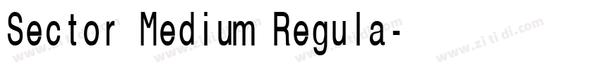 Sector Medium Regula字体转换 Sector Medium Regula字体转换